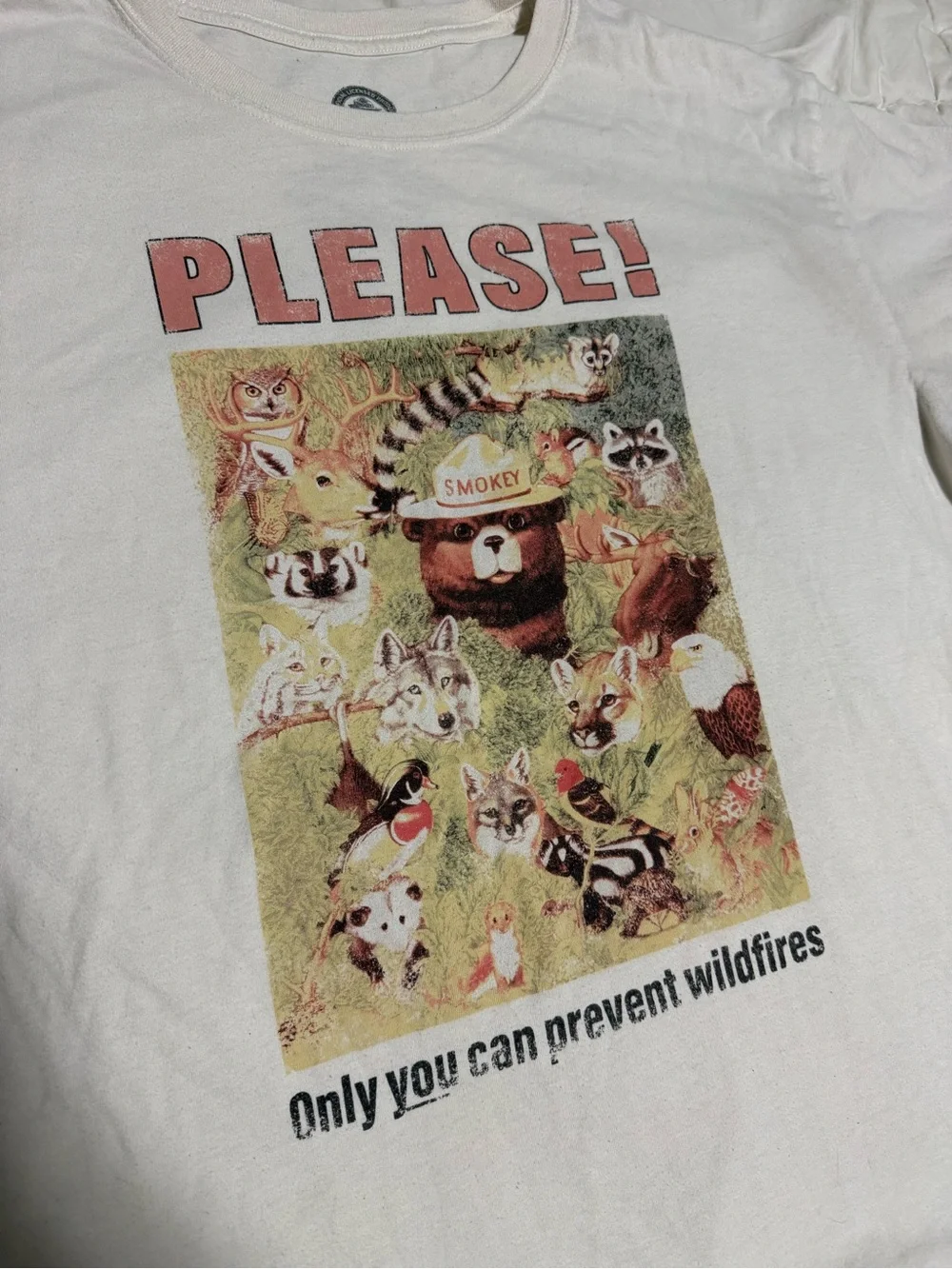 'Please! Only You Can Prevent Wildfires' White Graphic Tee